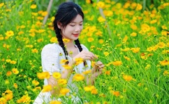 麻豆1区2产品乱码芒果有限公司